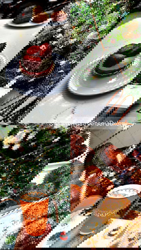 biton__adi biton__adi archive image