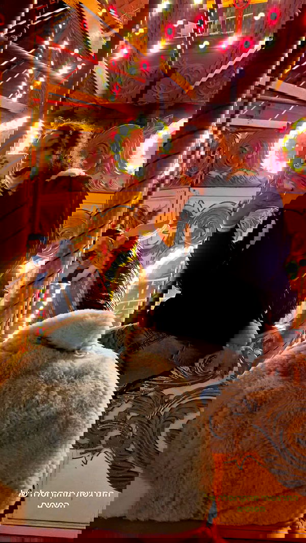 biton__adi biton__adi archive image