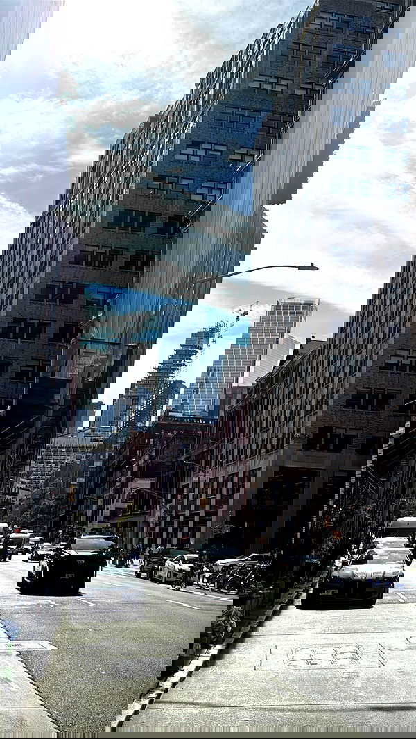 biton__adi biton__adi archive image