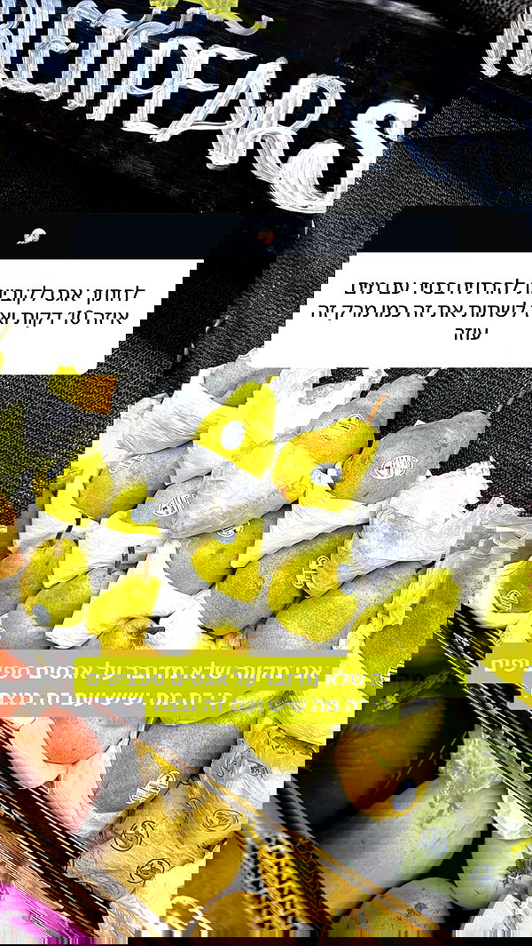 biton__adi biton__adi archive image