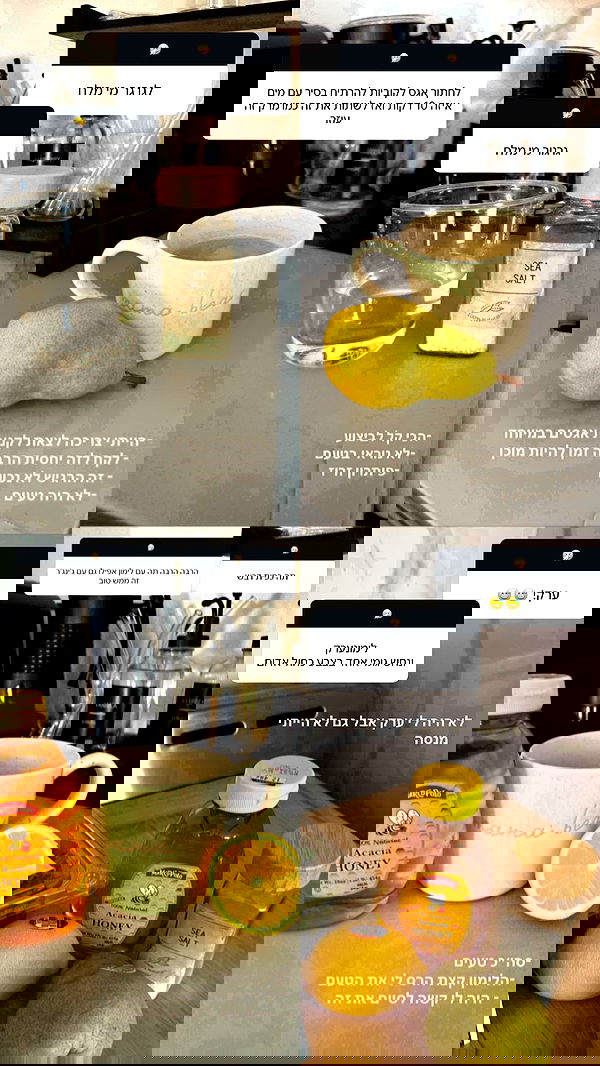 biton__adi biton__adi archive image