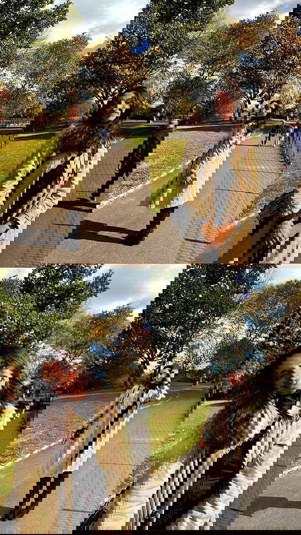 biton__adi biton__adi archive image