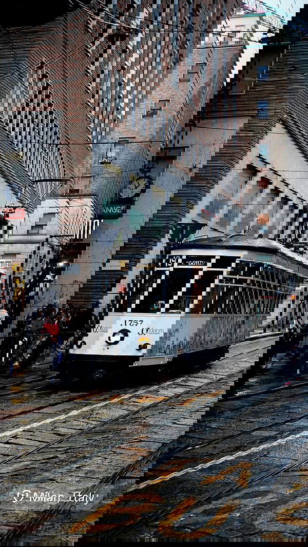 biton__adi biton__adi archive image