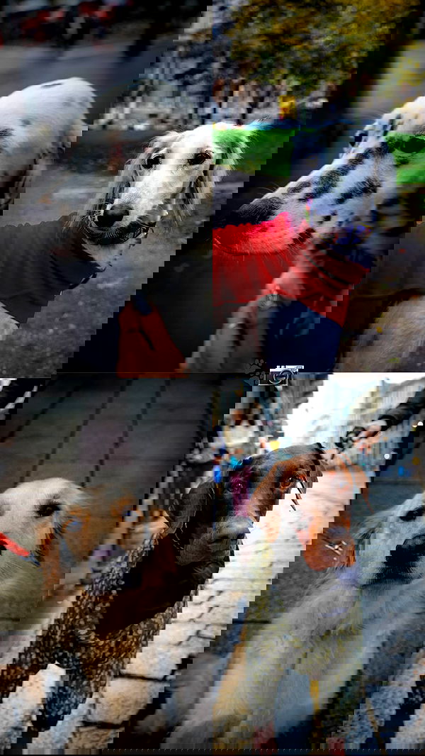 biton__adi biton__adi archive image