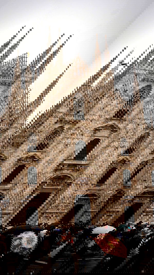 biton__adi biton__adi archive image