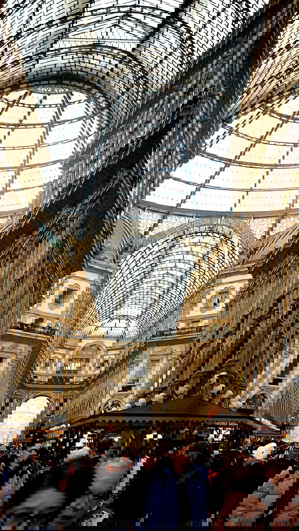 biton__adi biton__adi archive image