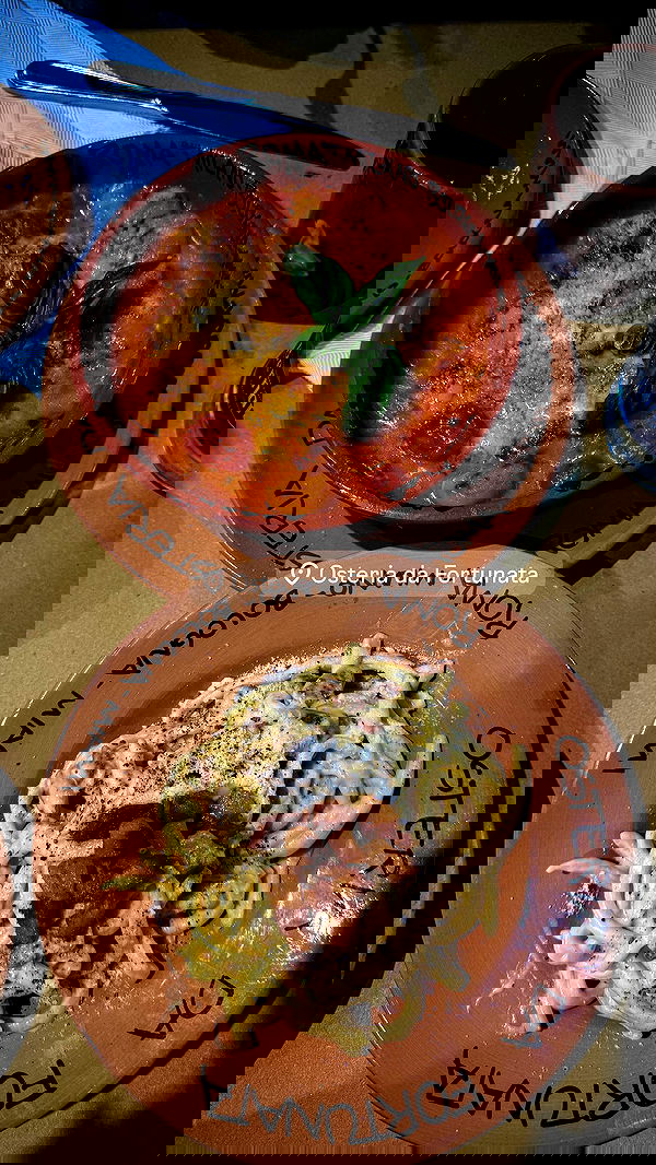 biton__adi biton__adi archive image