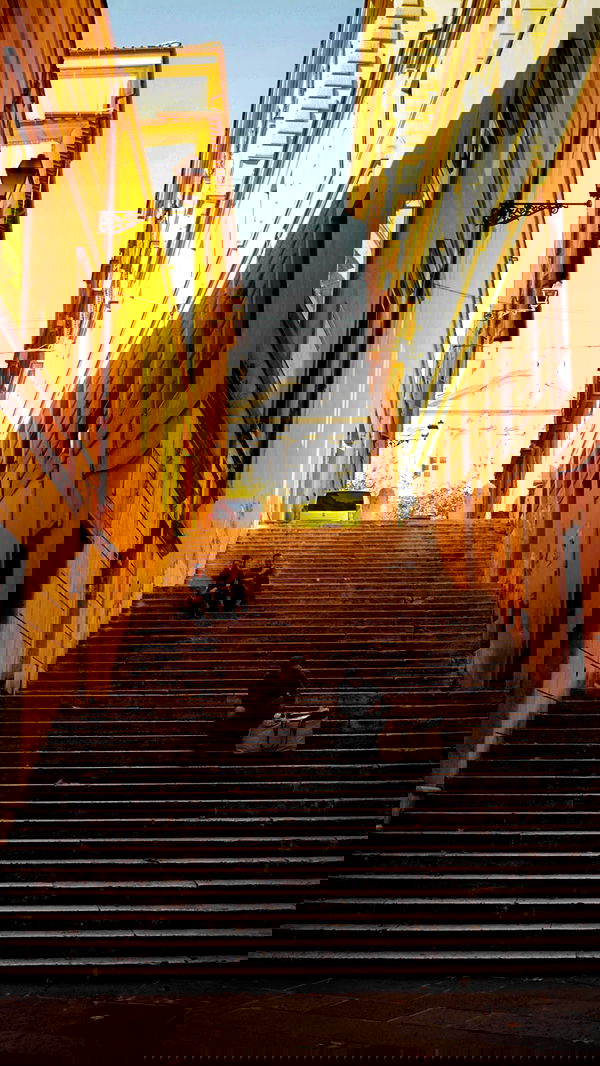 biton__adi biton__adi archive image