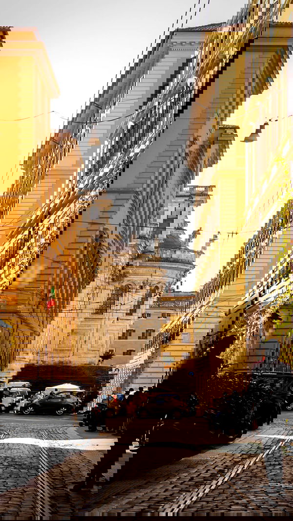 biton__adi biton__adi archive image