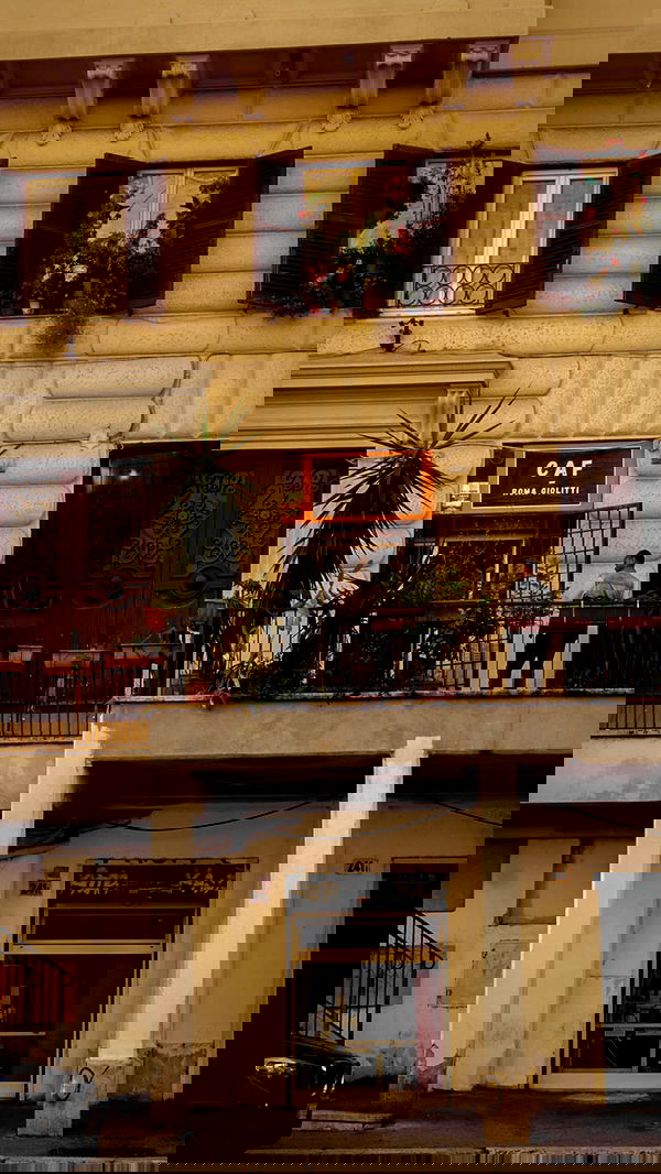 biton__adi biton__adi archive image