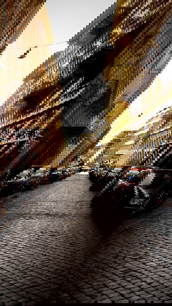 biton__adi biton__adi archive image