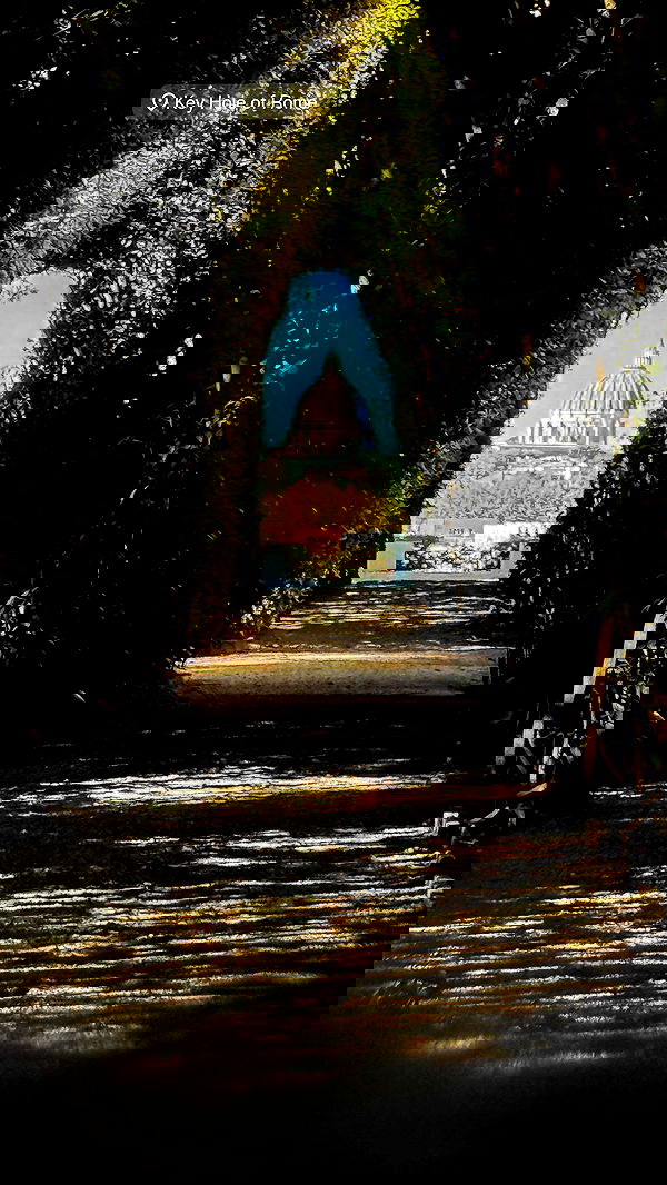 biton__adi biton__adi archive image