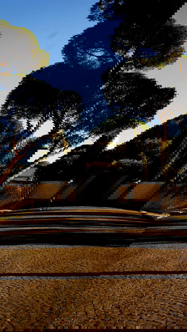 biton__adi biton__adi archive image