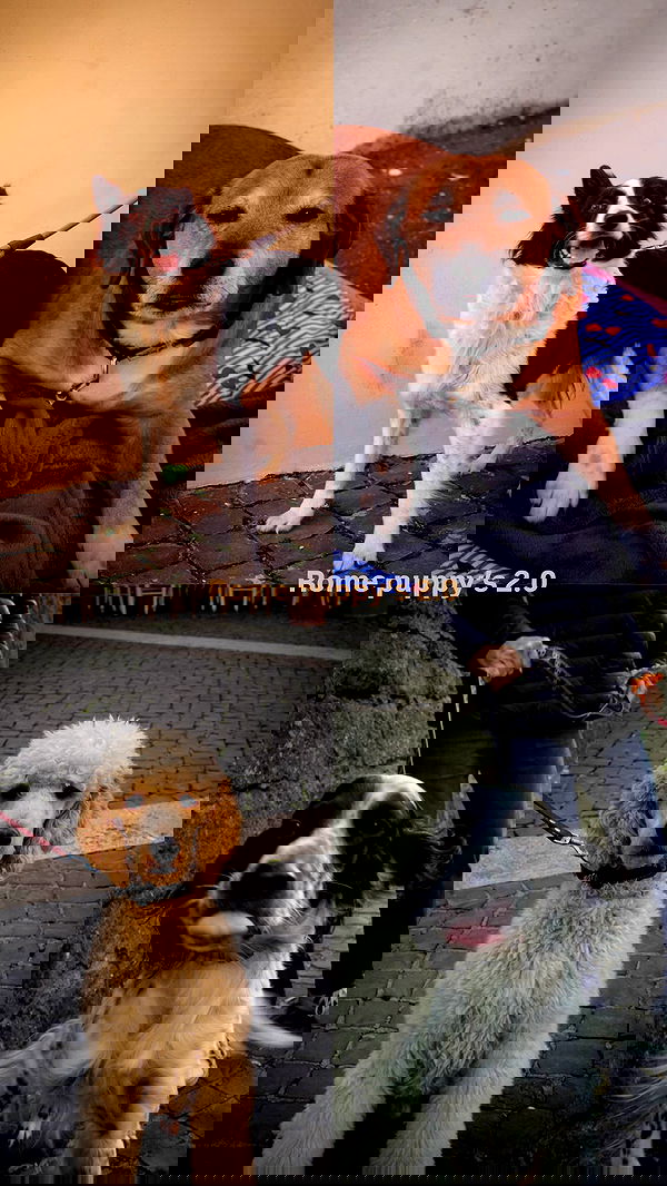 biton__adi biton__adi archive image