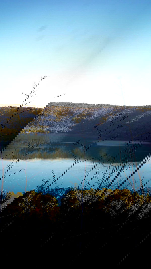 biton__adi biton__adi archive image