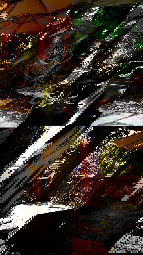 biton__adi biton__adi archive image