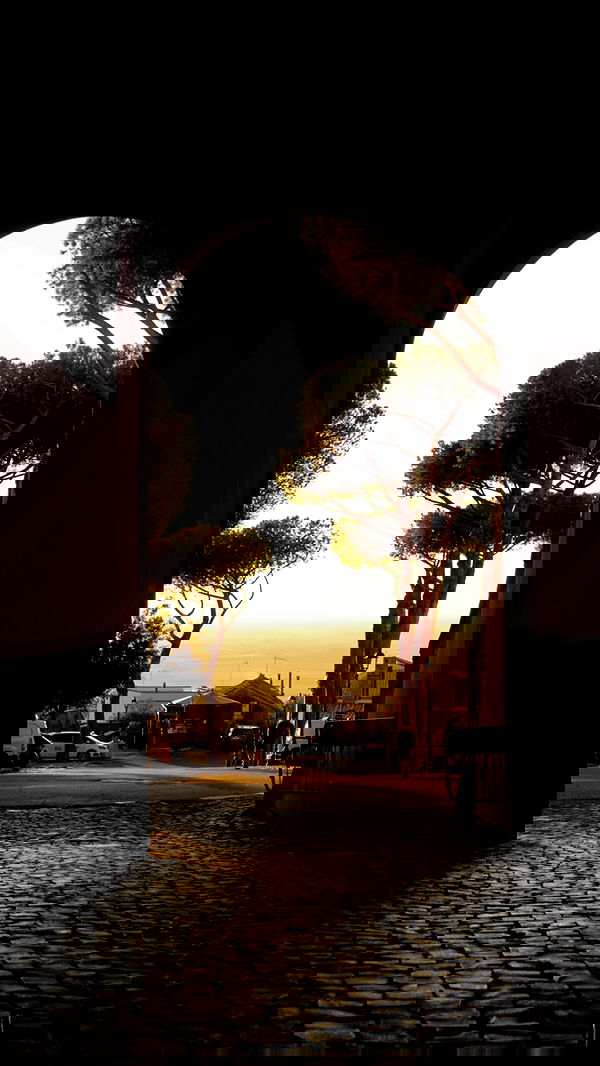 biton__adi biton__adi archive image