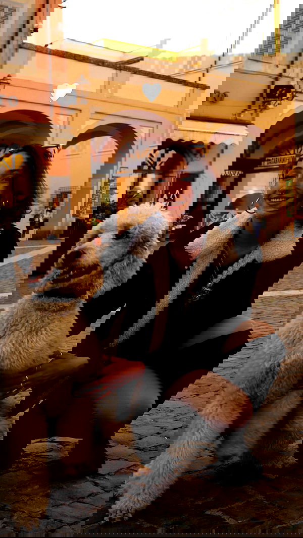 biton__adi biton__adi archive image