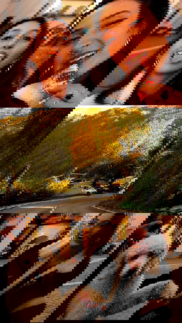 biton__adi biton__adi archive image