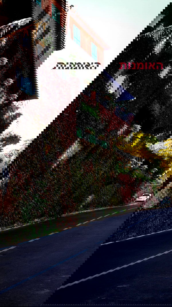 biton__adi biton__adi archive image