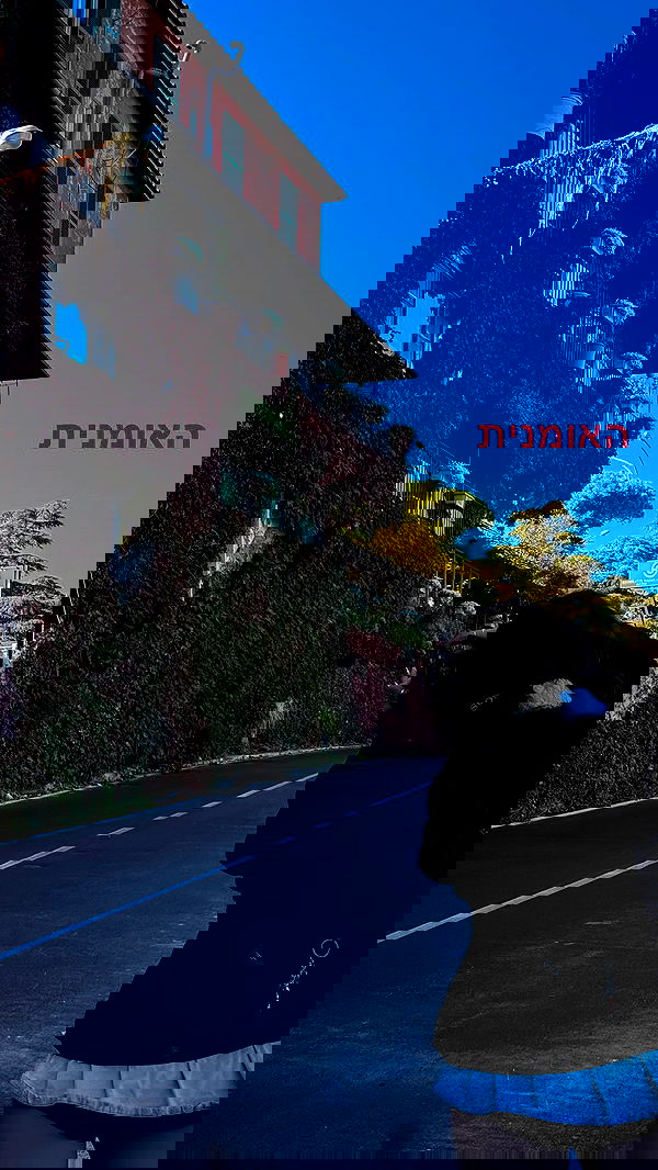 biton__adi biton__adi archive image