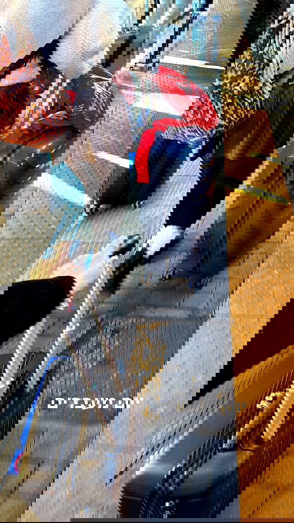 biton__adi biton__adi archive image