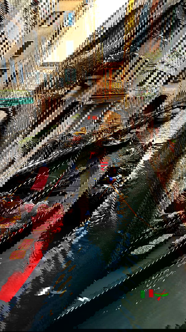 biton__adi biton__adi archive image