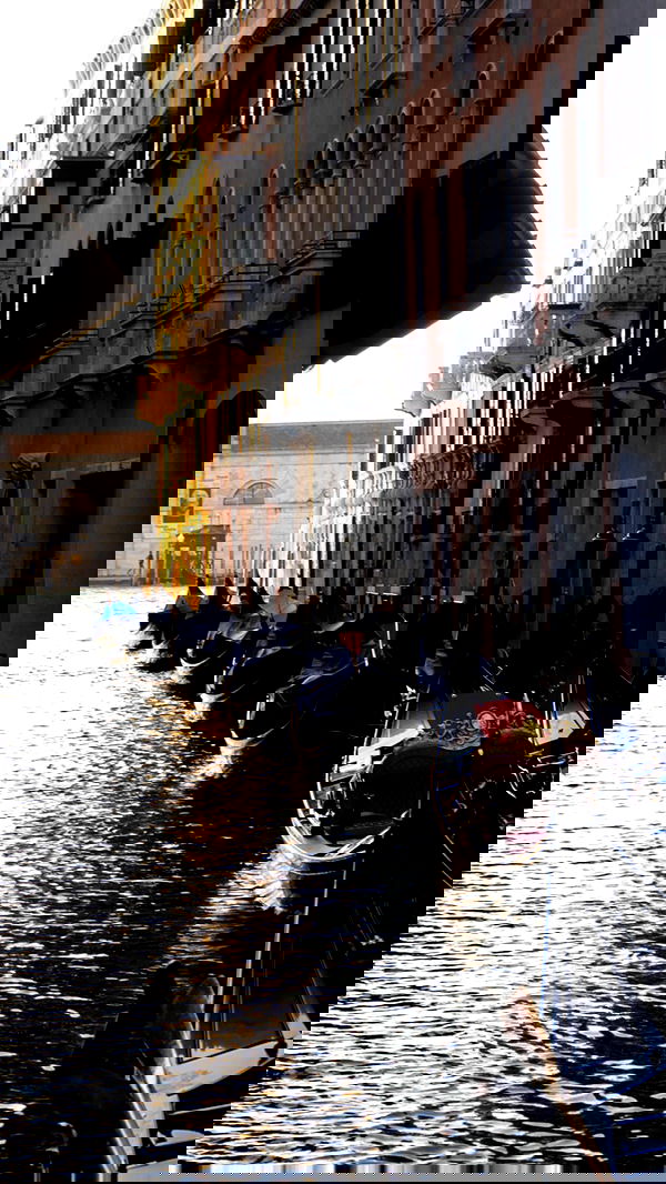 biton__adi biton__adi archive image