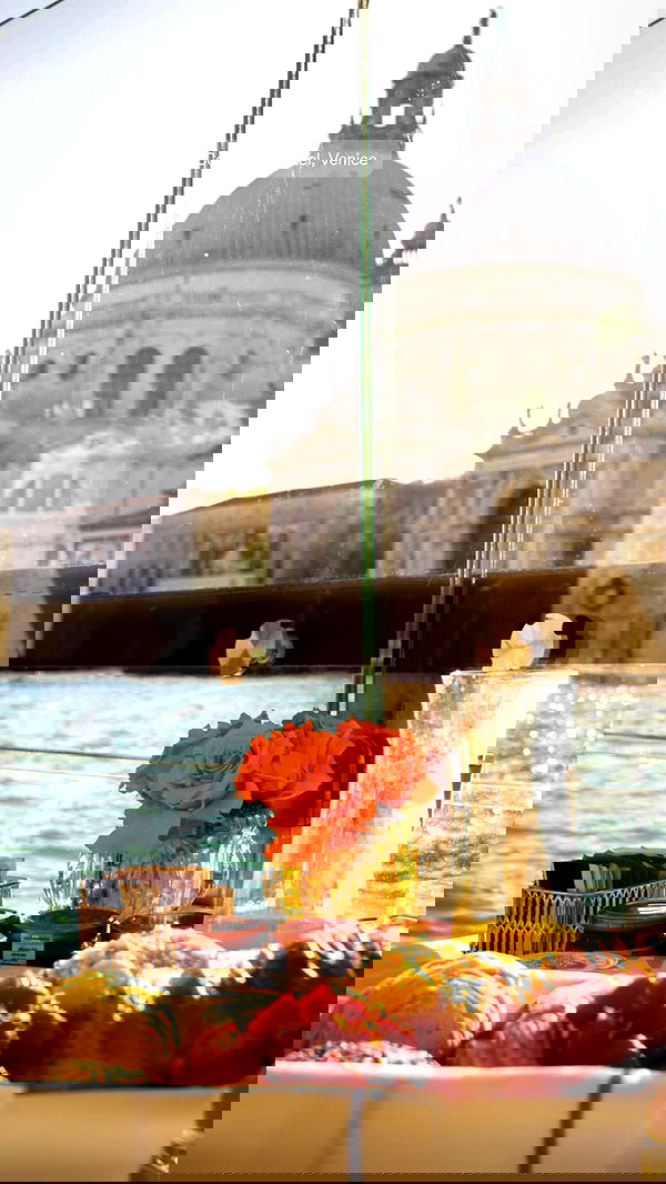 biton__adi biton__adi archive image