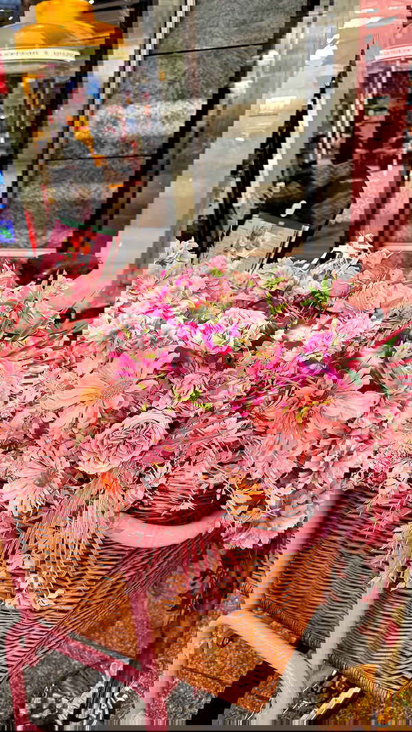 biton__adi biton__adi archive image