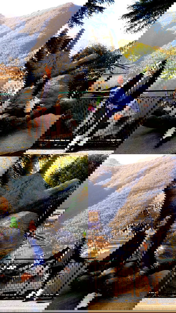 biton__adi biton__adi archive image