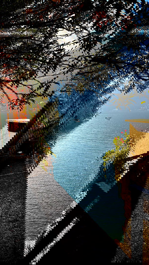 biton__adi biton__adi archive image