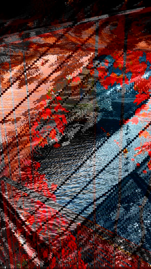 biton__adi biton__adi archive image