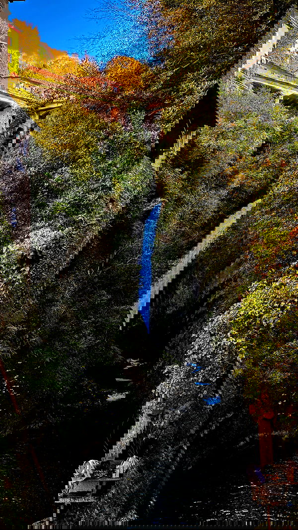 biton__adi biton__adi archive image