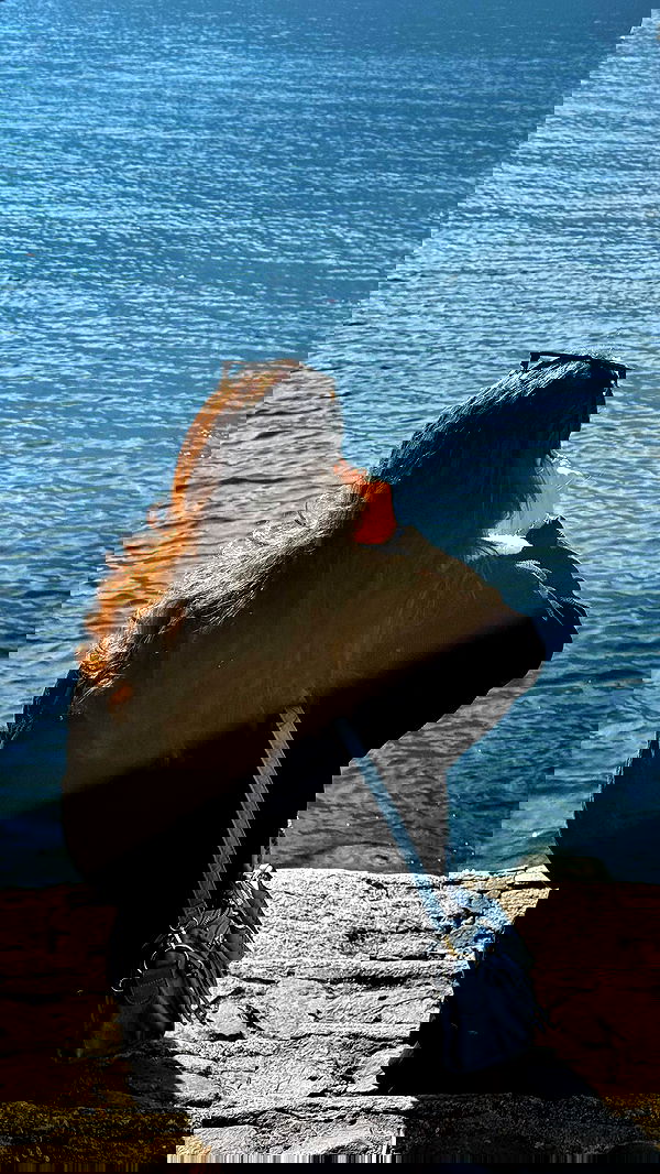 biton__adi biton__adi archive image