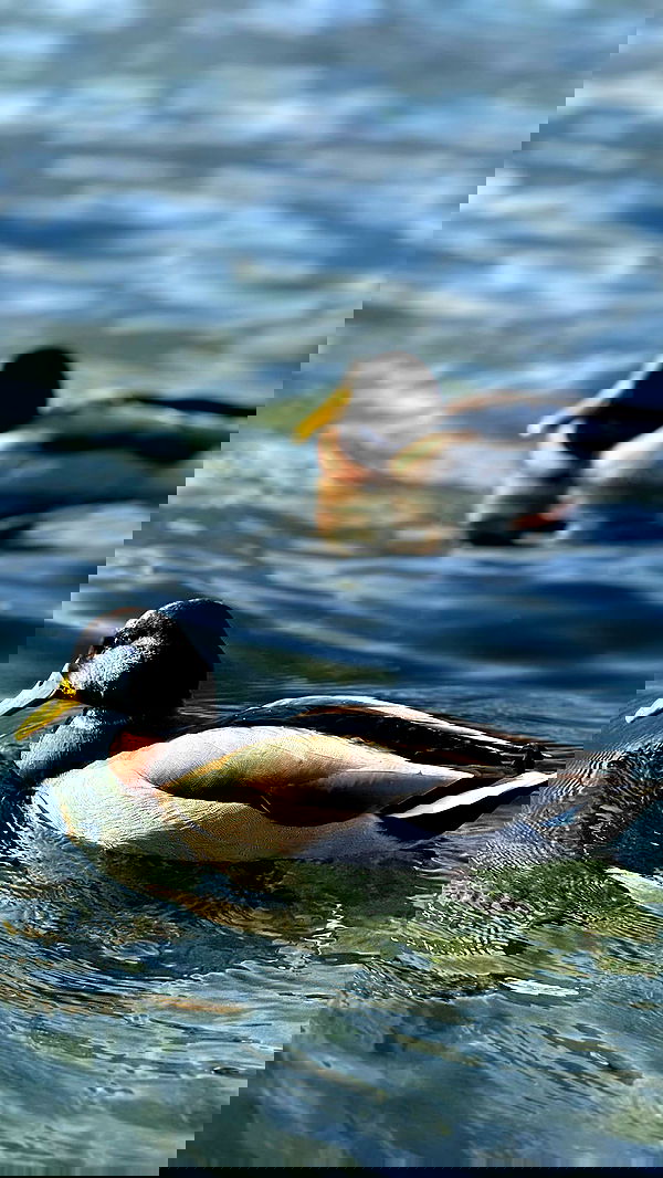 biton__adi biton__adi archive image