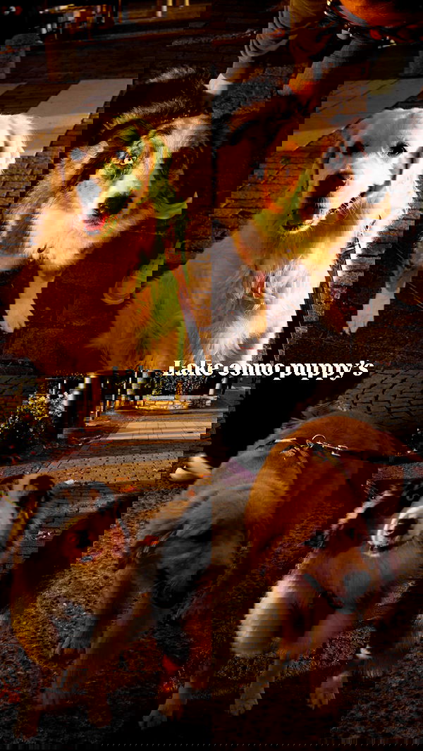 biton__adi biton__adi archive image