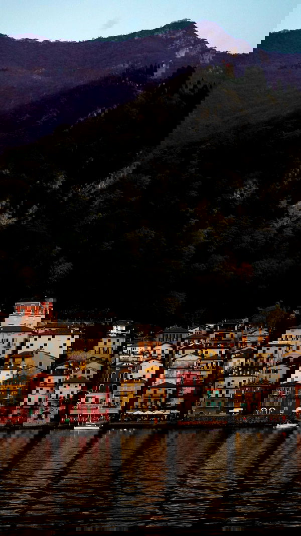 biton__adi biton__adi archive image