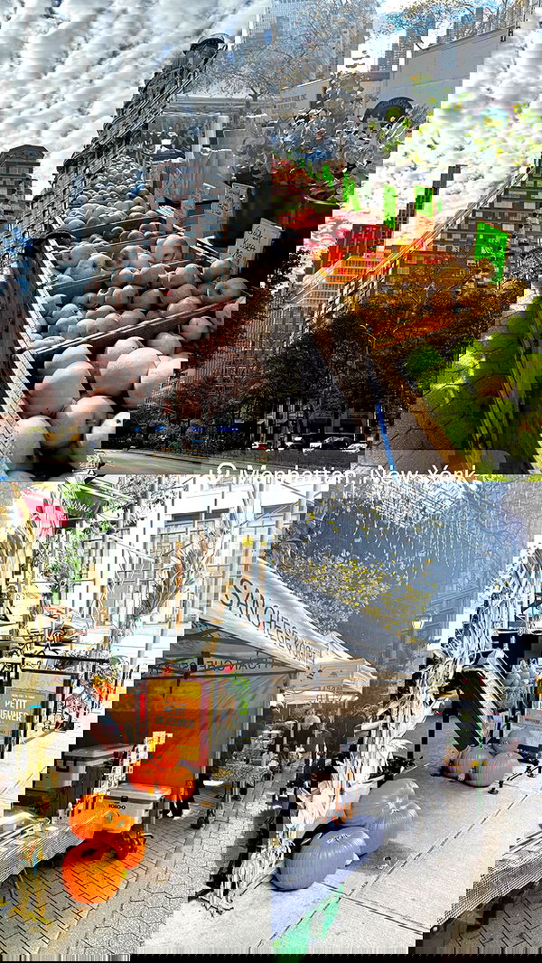 biton__adi biton__adi archive image