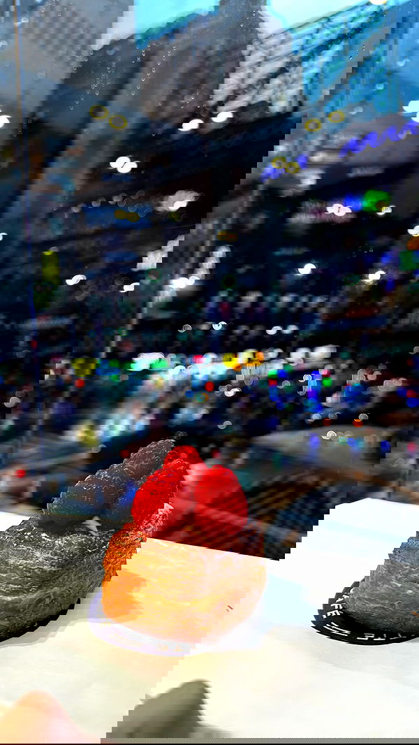 biton__adi biton__adi archive image