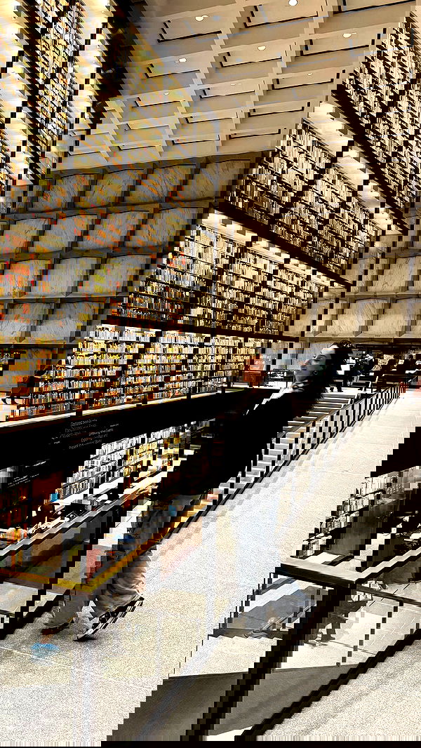 biton__adi biton__adi archive image