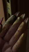 blackivy.xx Altpins Profile Picture