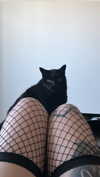 blairvira Altpins Profile Picture