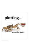 blairvira Altpins Profile Picture