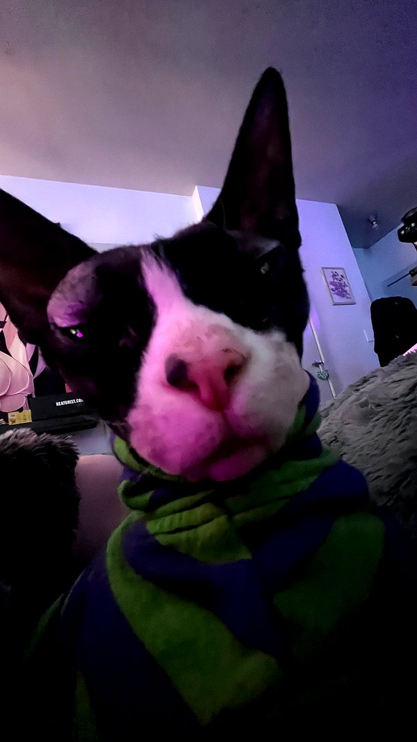 blairvira instagram image archive image