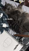 bloodyfukk Altpins Profile Picture