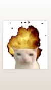 blossom_in_my_moonlight Altpins Profile Picture