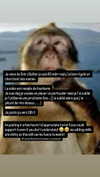 bluulin_ Altpins Profile Picture