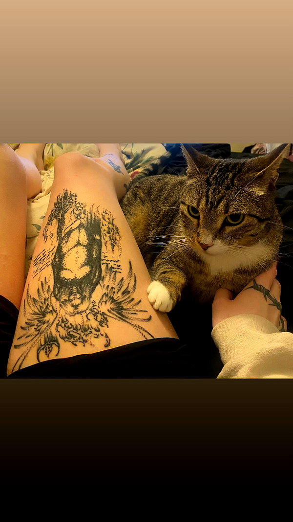braainr0tt instagram image archive image