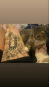braainr0tt Altpins Profile Picture